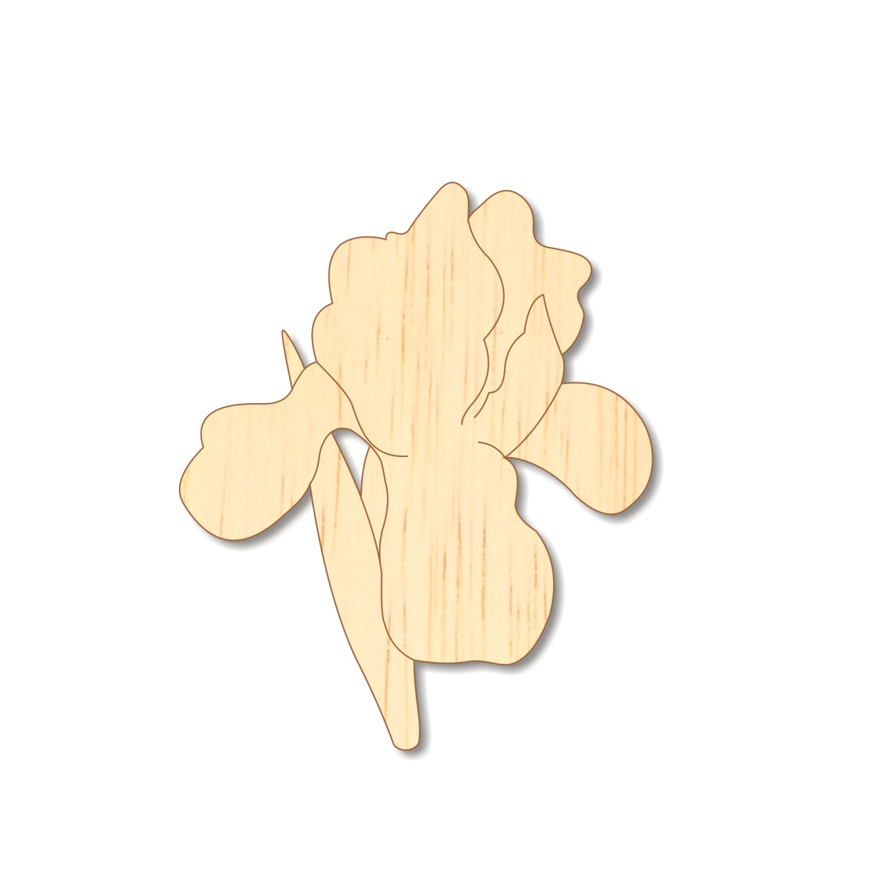 Narcisă, 3,5×6 cm, placaj