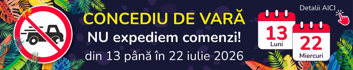 Concediu de vară 2026